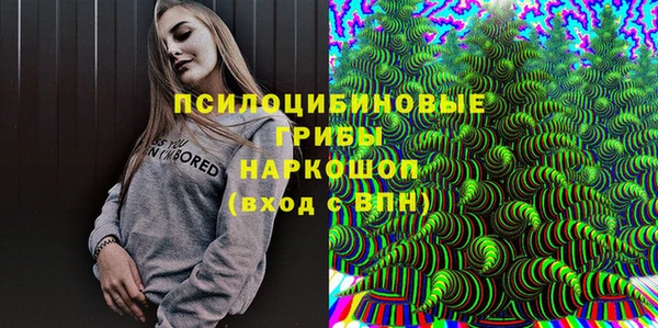 дурь Богданович